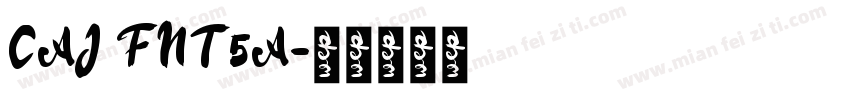 CAJ FNT5A字体转换